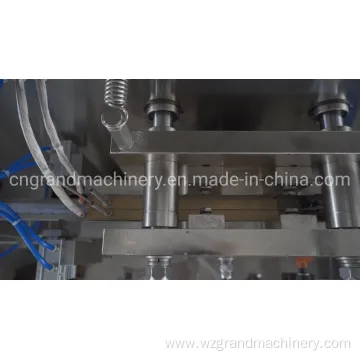 Nucleic Acid Reagent Filling Packaging Machine Ggs-118